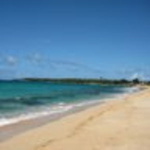 Meet your Posher, Paulina